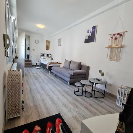 Appartement Cityapartment Mit Terrasse Bis 4 Personen Zentrum Direkt Stadtmitte Rheinpromenade *