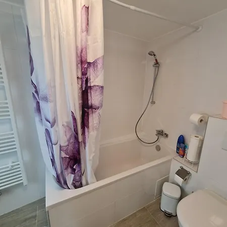 Cityapartment Mit Terrasse Bis 4 Personen Zentrum Direkt Stadtmitte Rheinpromenade Appartement *
